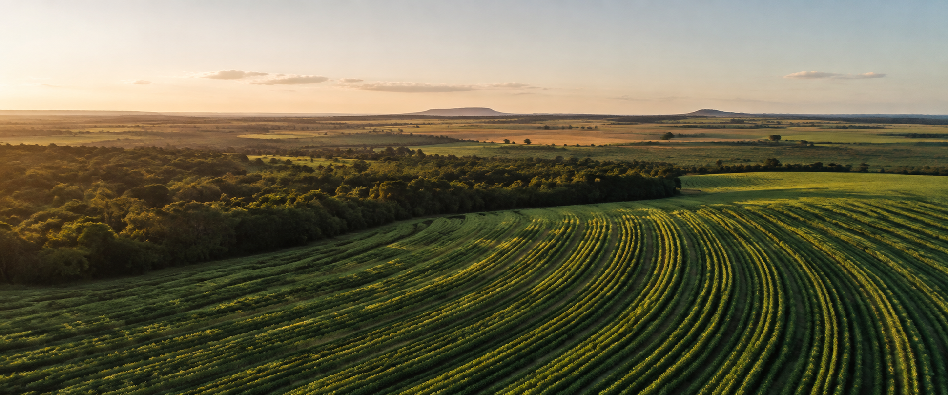 Paisagem ilustrativa de lavouras e vegetação do cerrado ao amanhecer